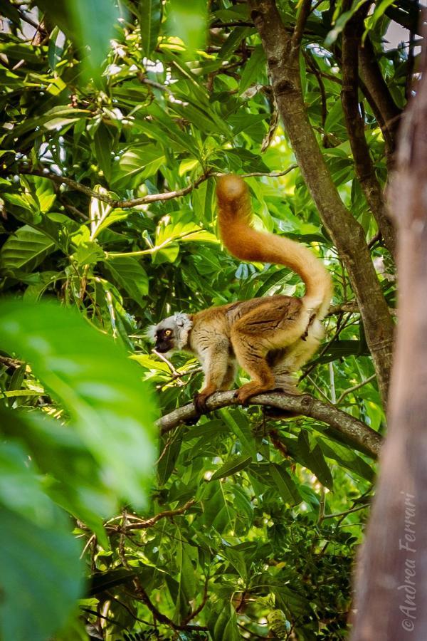 Sakatia Lodge Ampasimena Ngoại thất bức ảnh